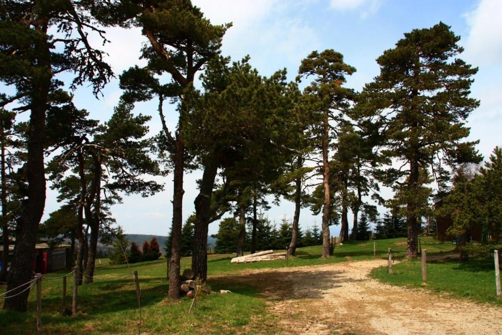 Hotel Le Refuge Mas-dʼOrcières Kültér fotó